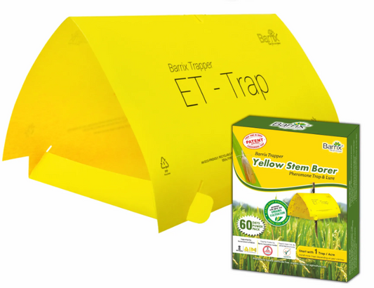 Barrix Trapper Yellow Stem Borer Pheromone Lure & Trap