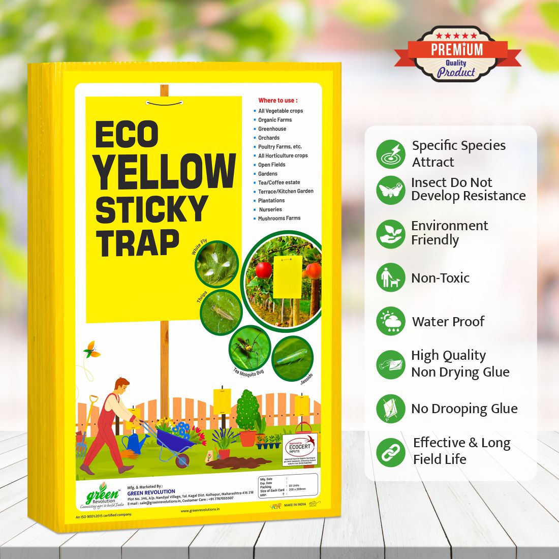 Green Revolution ECO Yellow Sticky Trap/Insect Trap for Garden & Farm | A4 Size