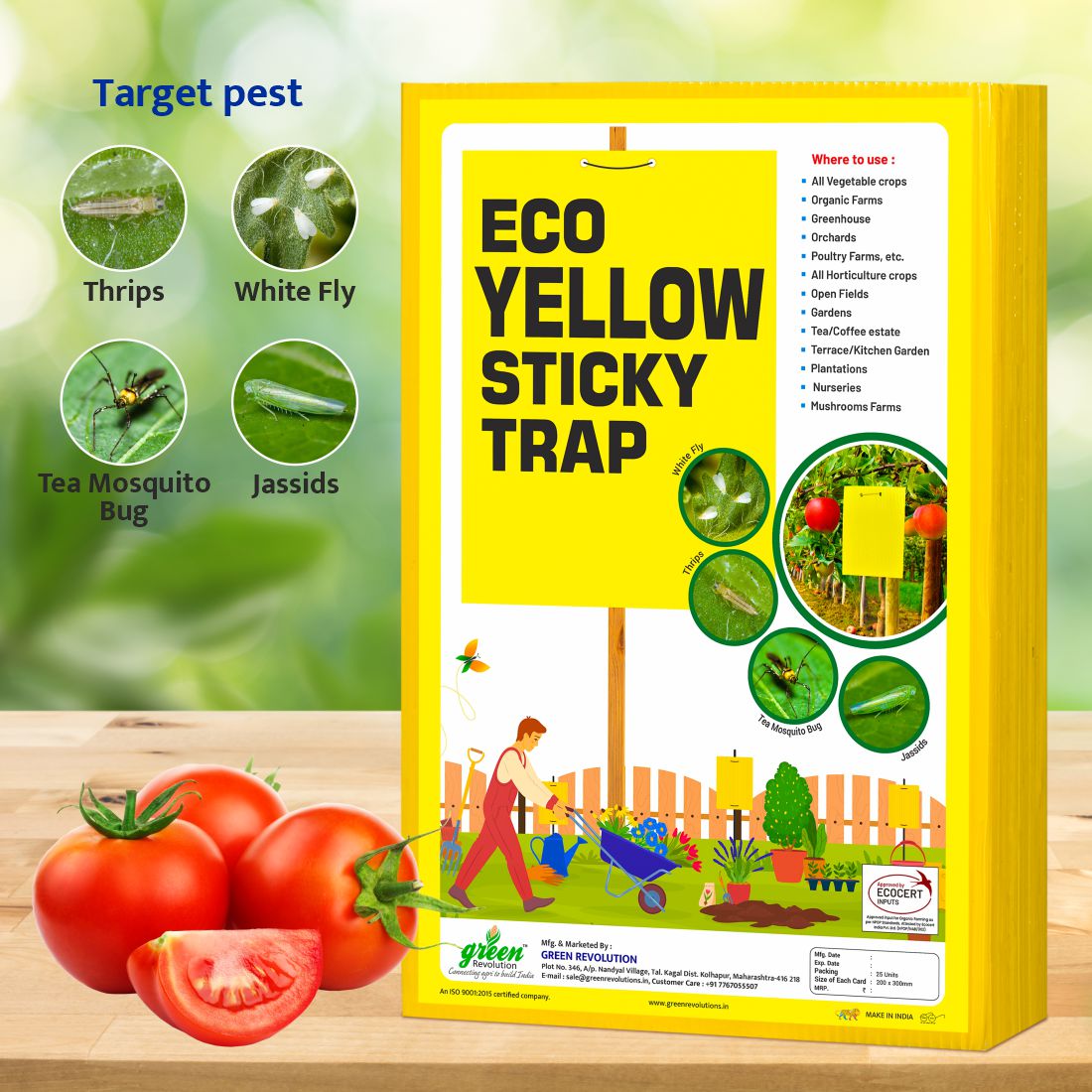 Green Revolution ECO Yellow Sticky Trap/Insect Trap for Garden & Farm | A4 Size