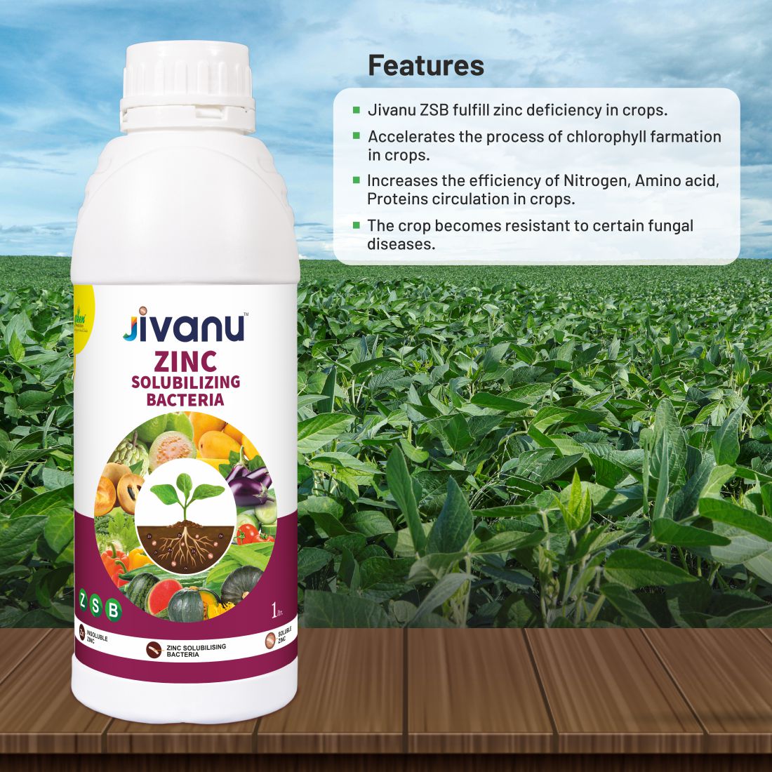 Green Revolution Jivanu Zinc Solubilizing Bacteria (ZSB) Liquid- 1 Litre
