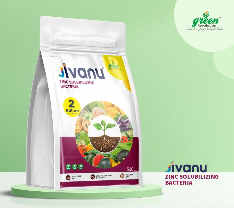 Green Revolution Jivanu Zinc Solubilizing Bacteria (ZSB) - 500 grams