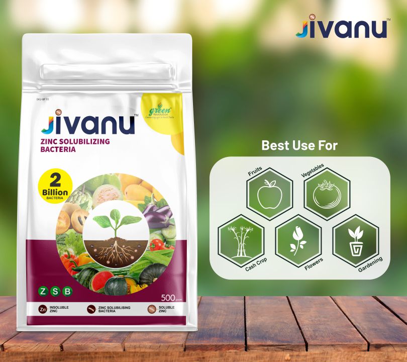 Green Revolution Jivanu Zinc Solubilizing Bacteria (ZSB) - 500 grams