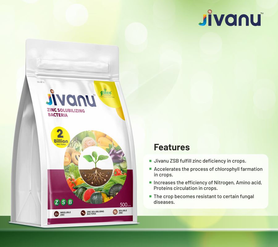 Green Revolution Jivanu Zinc Solubilizing Bacteria (ZSB) - 500 grams