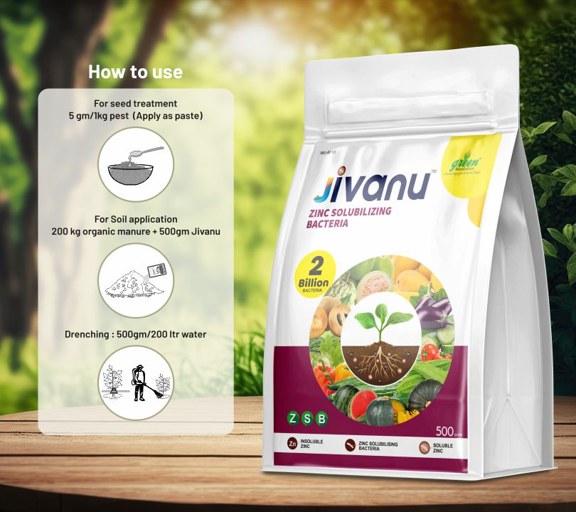 Green Revolution Jivanu Zinc Solubilizing Bacteria (ZSB) - 500 grams