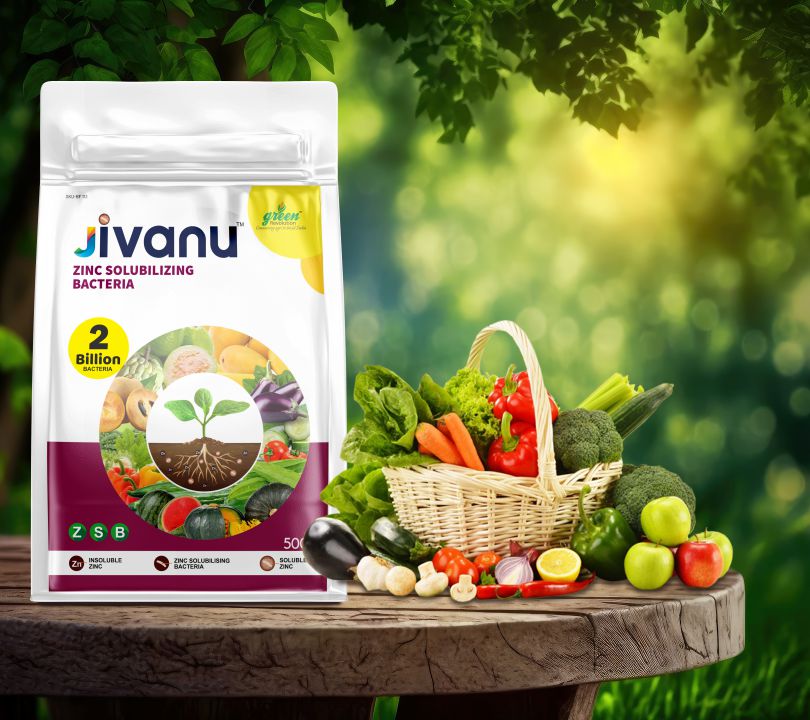 Green Revolution Jivanu Zinc Solubilizing Bacteria (ZSB) - 500 grams