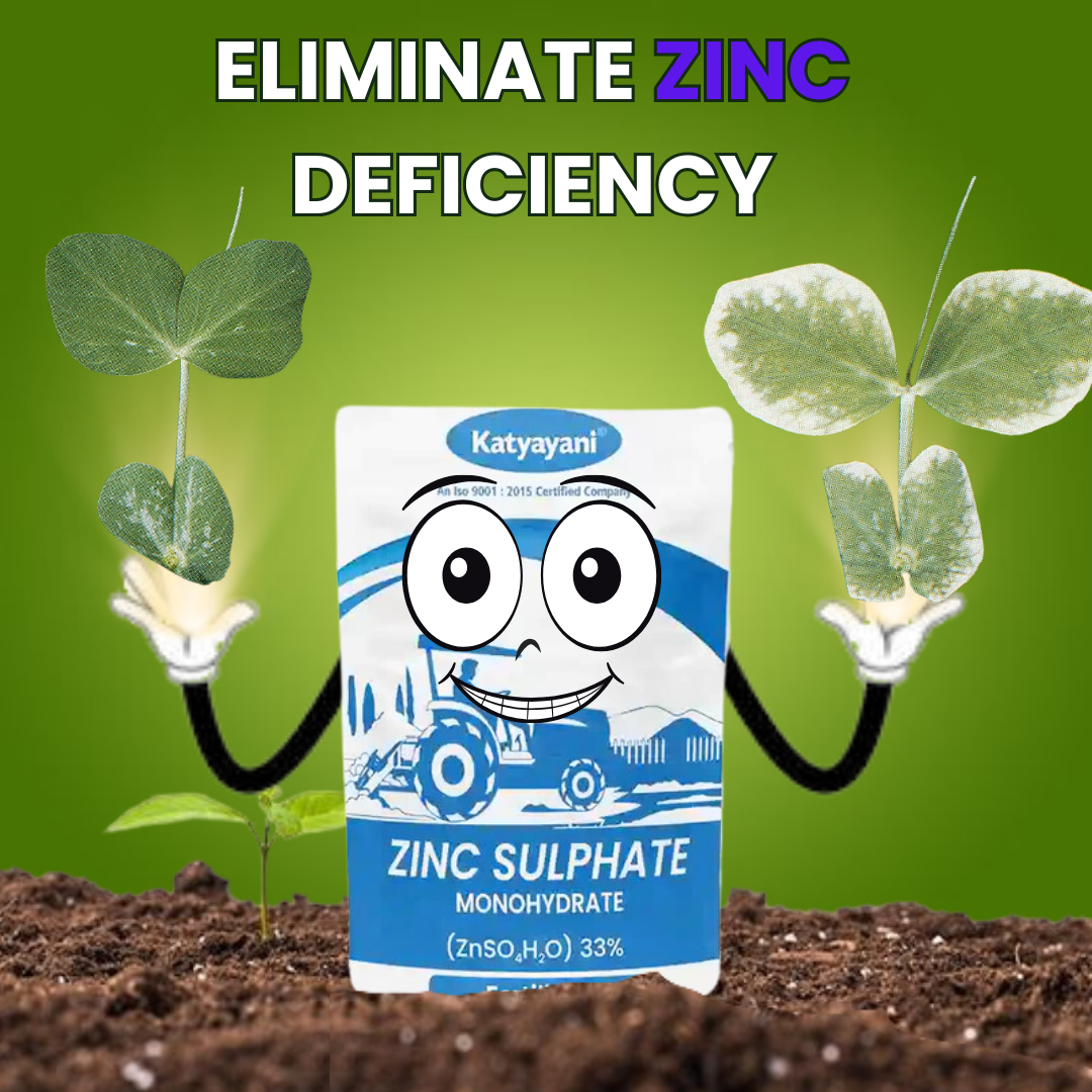 Katyayani Zinc Sulphate 33% | Monohydrate Micro Nutrient