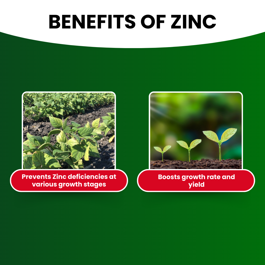 Katyayani Zinc 12% EDTA Fertilizer