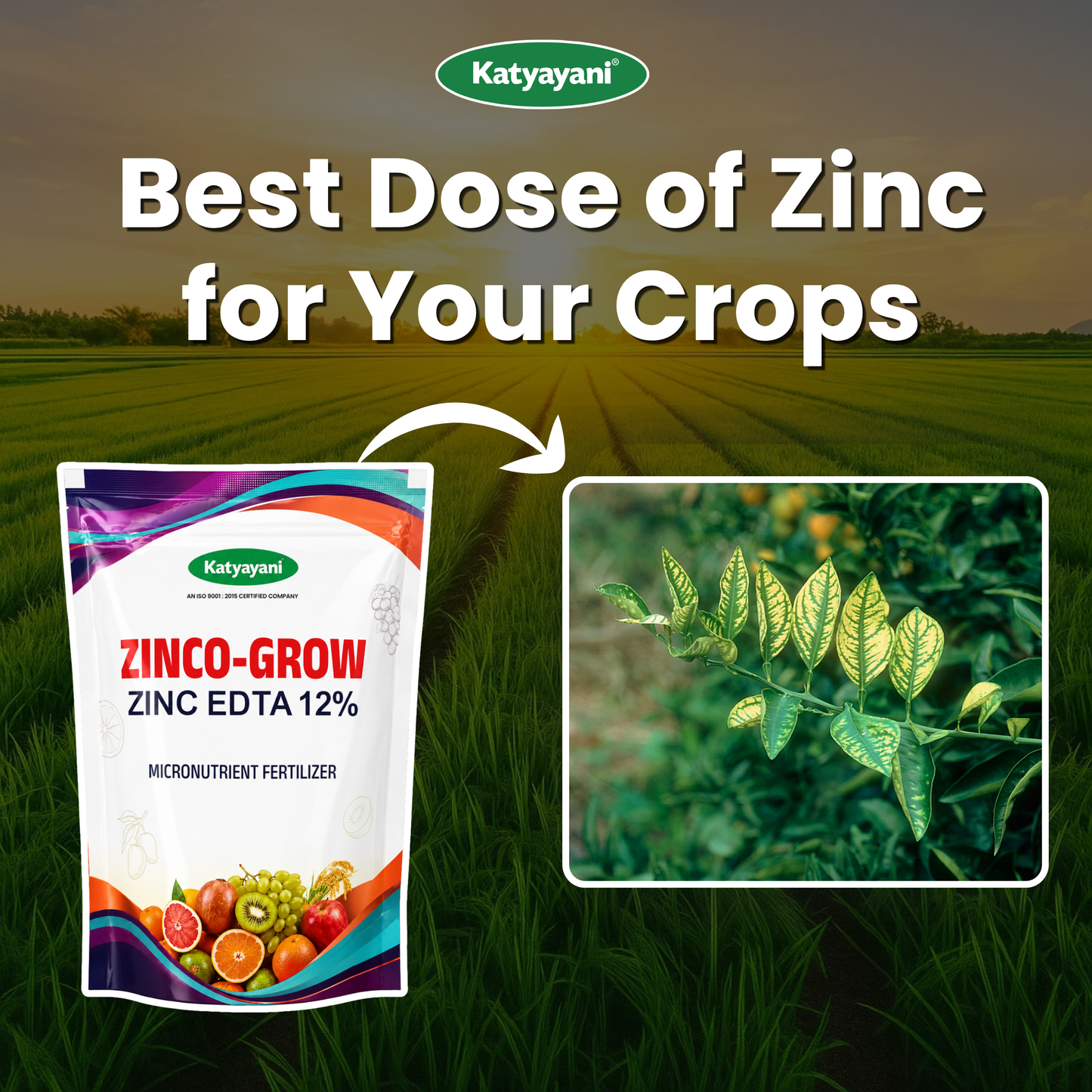 Katyayani Zinco Grow (Zinc EDTA 12%) Chelated Micronutrient Fertilizer