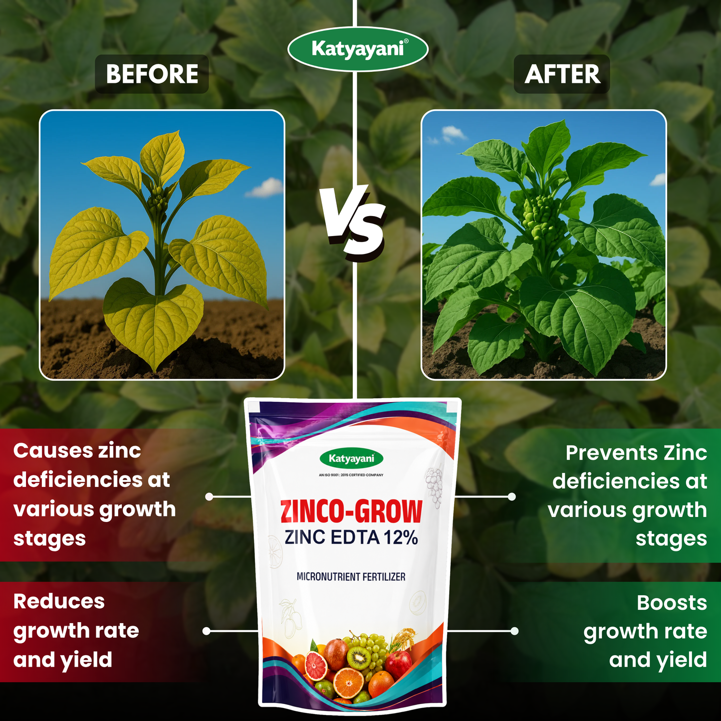 Katyayani Zinco Grow (Zinc EDTA 12%) Chelated Micronutrient Fertilizer
