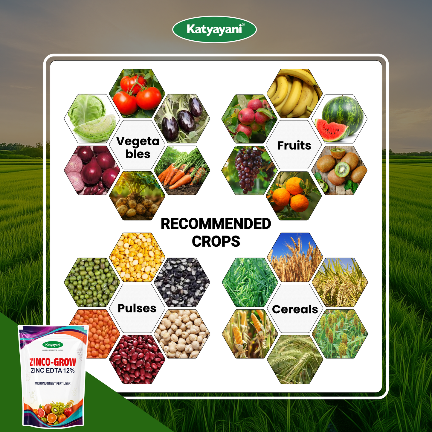 Katyayani Zinco Grow (Zinc EDTA 12%) Chelated Micronutrient Fertilizer
