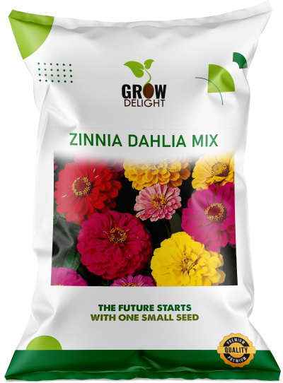 Grow Delight Imported Zinnia Dahlia Mix - 200 seeds