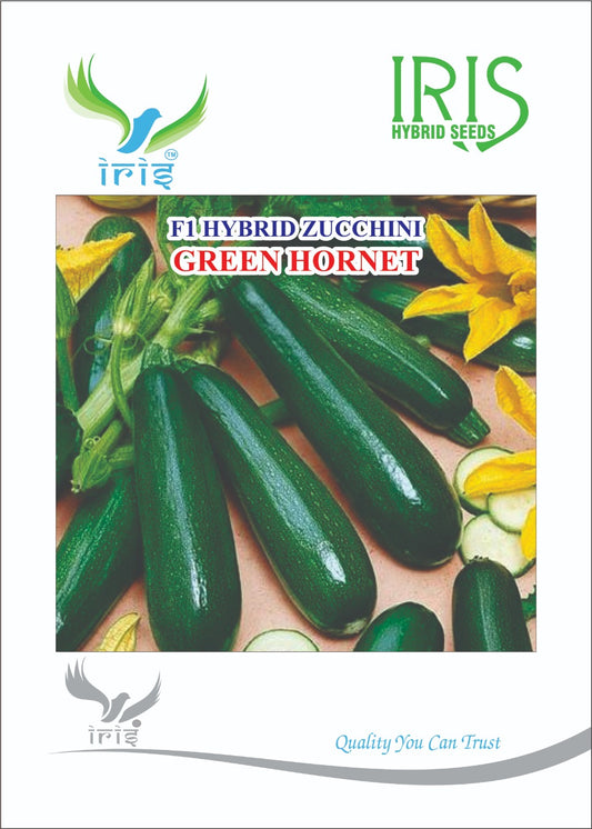 Zucchini / Tori F1 Iris Green Hornet