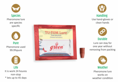 Tu - Tom Lure / Tuta Absoluta Pheromone Lure