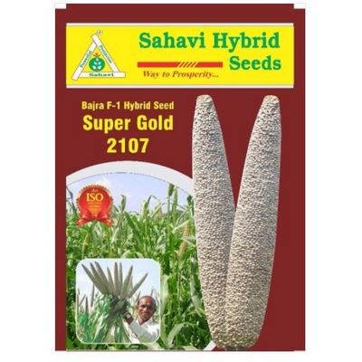 PearlMillet / Bajra Super Gold-2107