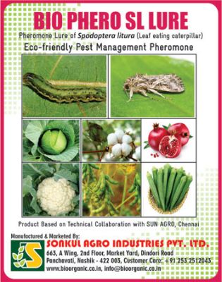Combo Pack of Bio Phero SL (Leaf eating Caterpillar) Lure & Funnel trap set (Pack of 10 Pieces)