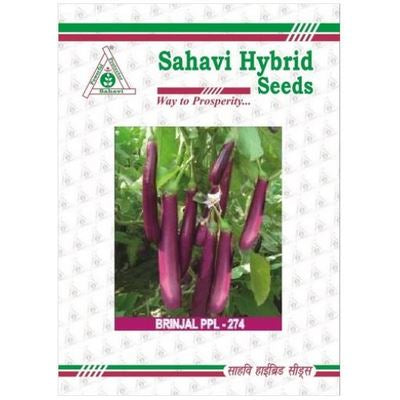 Brinjal PPL-274 10 grams