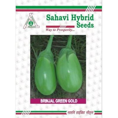 Brinjal Green Gold