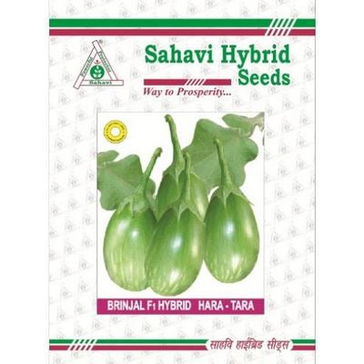 Brinjal Hara Tara