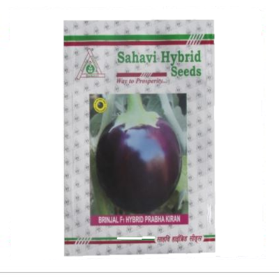 Brinjal Prabha Kiran