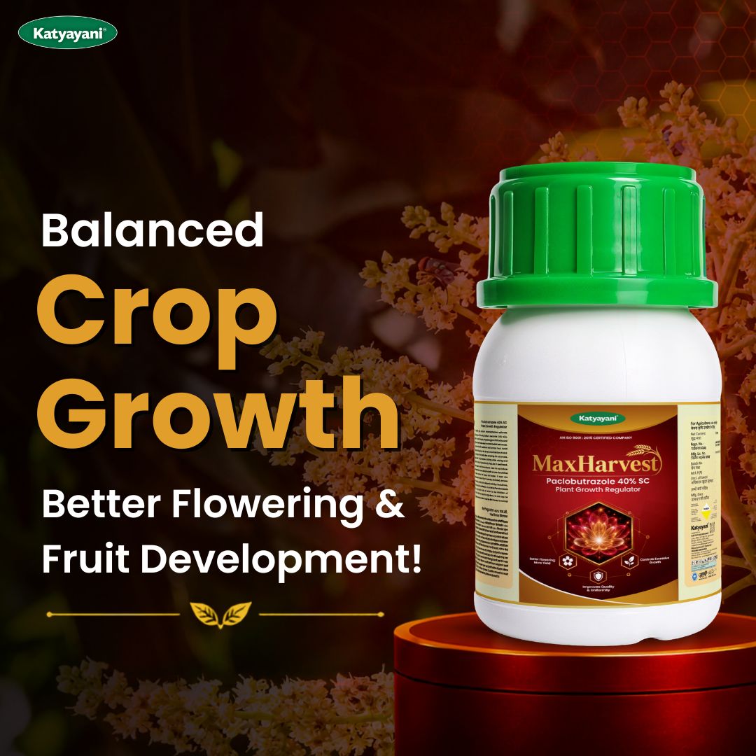Katyayani MaxHarvest - Paclobutrazol 40% SC | Plant Growth Regulator