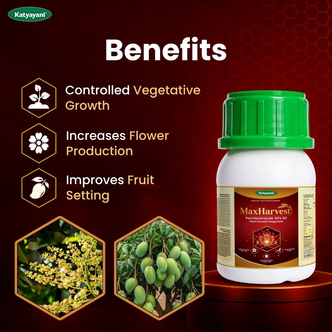 Katyayani MaxHarvest - Paclobutrazol 40% SC | Plant Growth Regulator