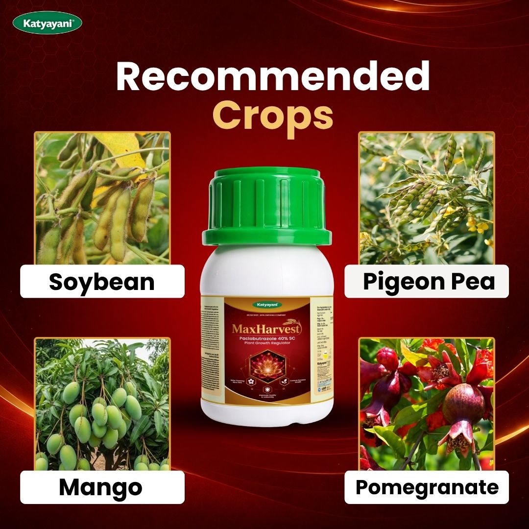 Katyayani MaxHarvest - Paclobutrazol 40% SC | Plant Growth Regulator