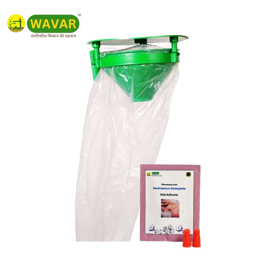 Wavar Funnel Trap with Pectinophora Gossypiella Lure
