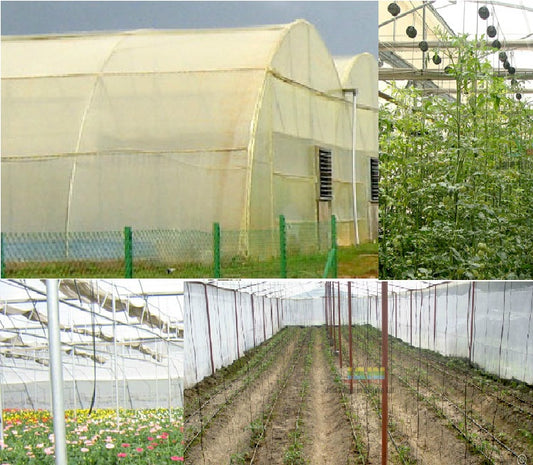 Jain Poly House