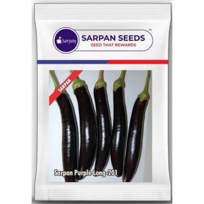 Brinjal Sarpan Purple Long 201