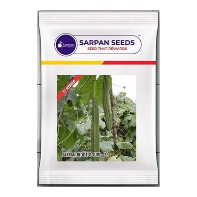RidgeGourd / Turai Sarpan 33