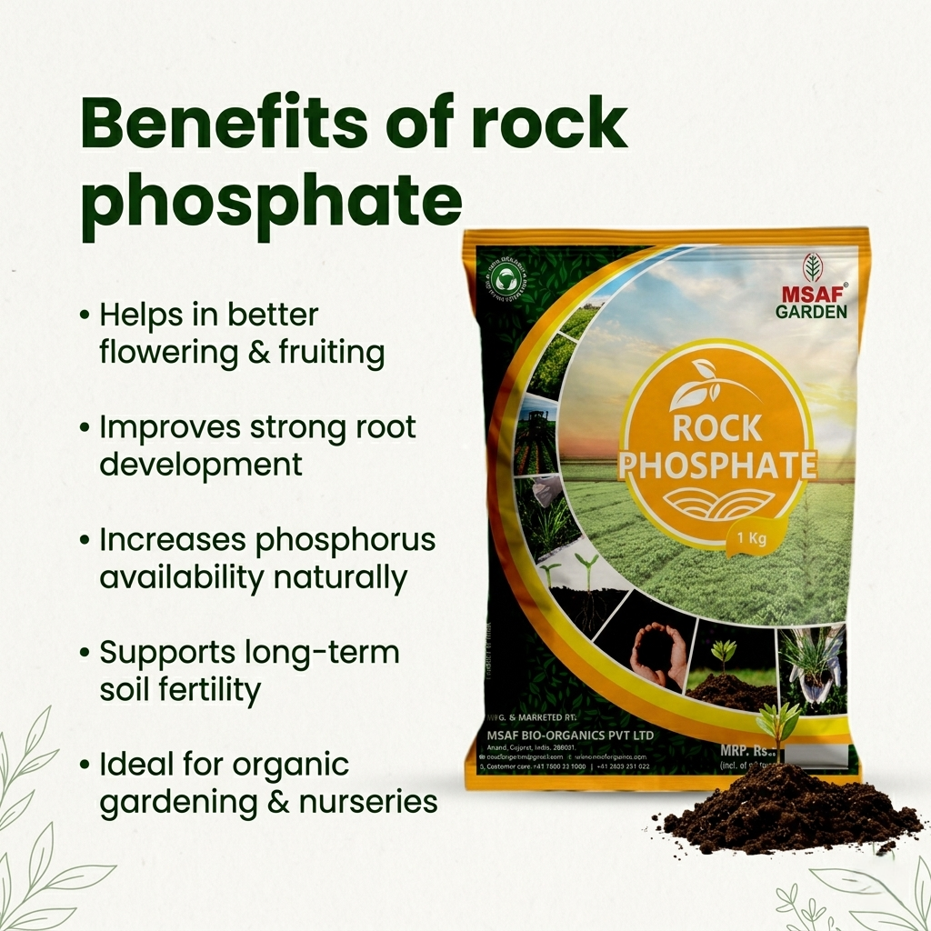 MSAF Rock Phosphate - Fertilizer