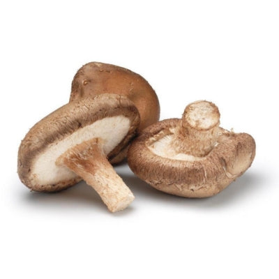 SporeKart Shroomness Shiitake Mushroom Spawn (Seeds)