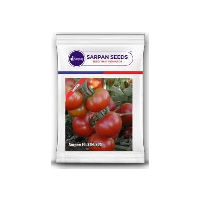 Tomato Sarpan STH-520