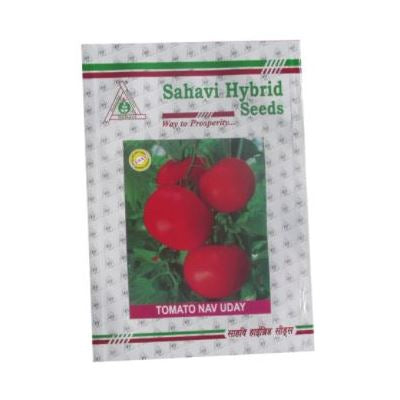 Tomato OP Nav Uday