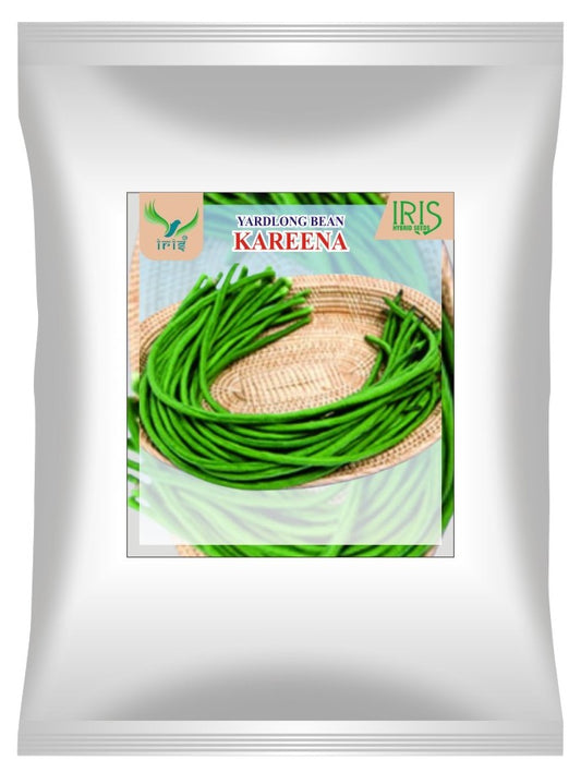 Yard Long Beans OP Iris Kareena