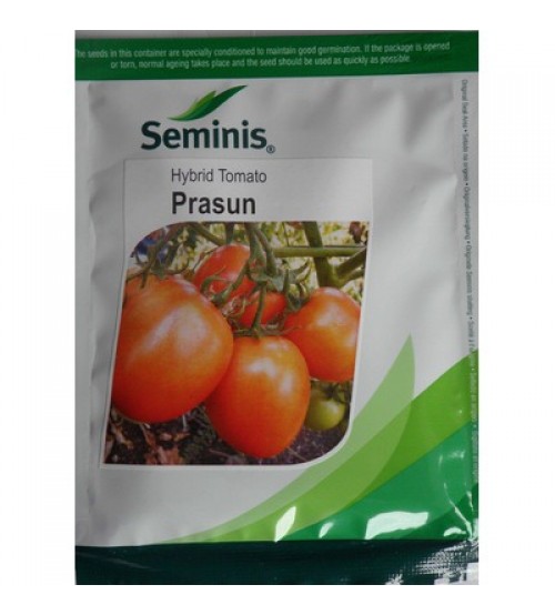 Tomato Prasun