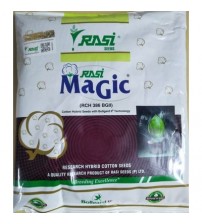 All Cotton Seeds, Packaging Type: Packet, Packaging Size: 475g at Rs  730/pack in Raichur
