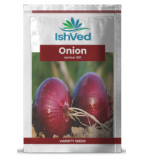 Red Onion 10lb Bag - Maharaja Store - Online Desi Grocery