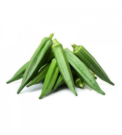 Okra Lady Finger Hybrid Us 480 50 Grams