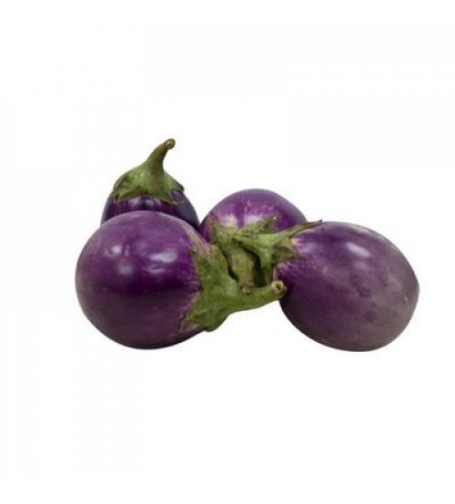 Brinjal OP PPR 100 grams