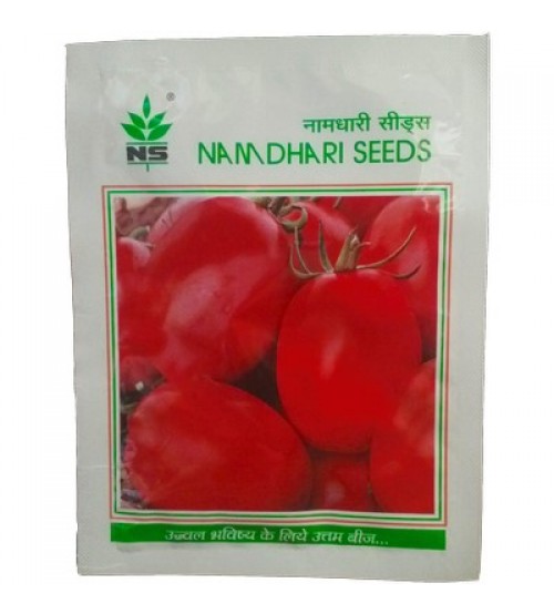 Tomato Ns 501