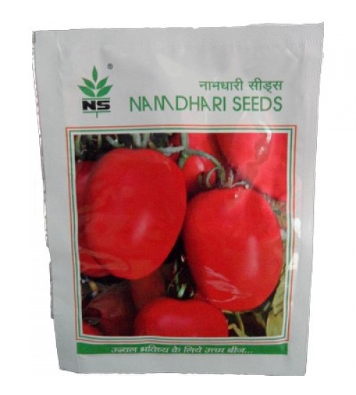 Tomato Ns 629